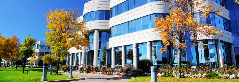 Business Insurance